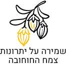 שמירה על יתרונות צמח החוחובה
