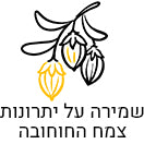 צמח החוחובה